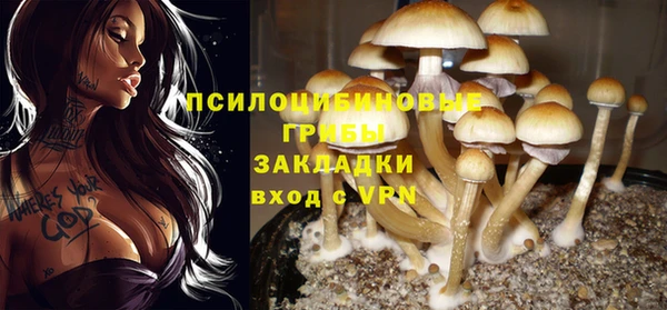 таблы Алексин