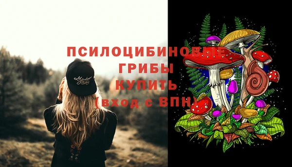 скорость Алзамай