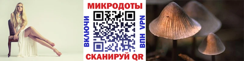 Псилоцибиновые грибы прущие грибы  дарнет шоп  Алексеевка 