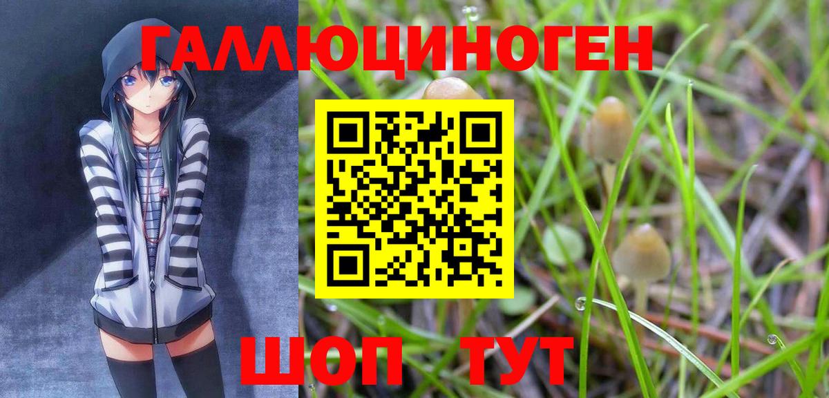 Псилоцибиновые грибы Psilocybe  хочу   Псилоцибиновые грибы MAGIC MUSHROOMS  Алексеевка  Вход с VPN 