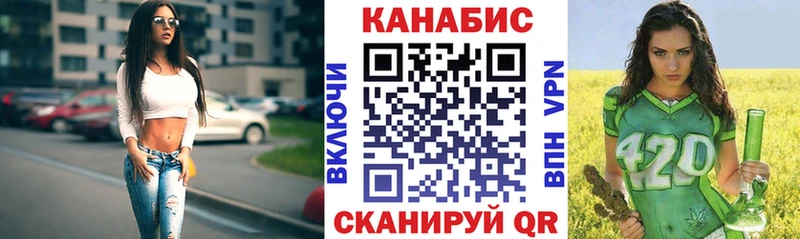 купить наркотики цена  Алексеевка  Канабис сатива 